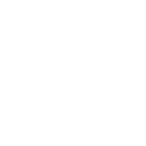 paramount consulting